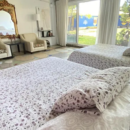 Jacaranda Homestay Cadiz