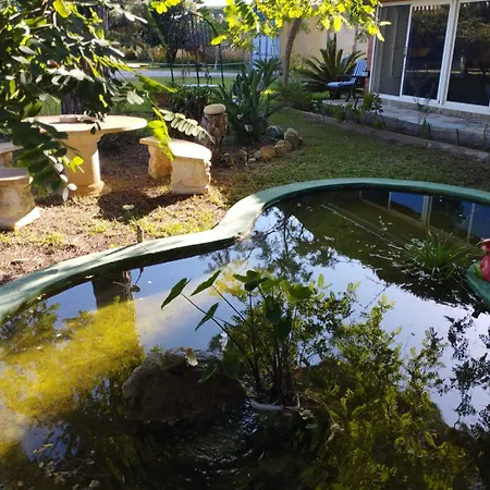 בית אירוח Jacaranda