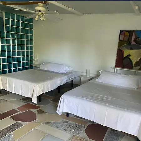 Jacaranda Homestay *