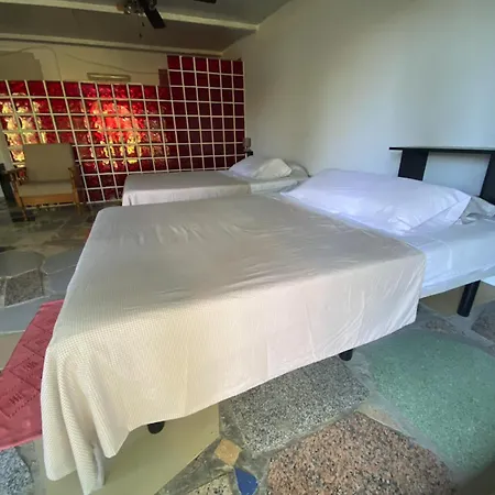 Jacaranda Homestay Cadiz