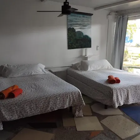 Jacaranda Homestay Cadiz