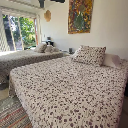 Jacaranda Homestay Cadiz