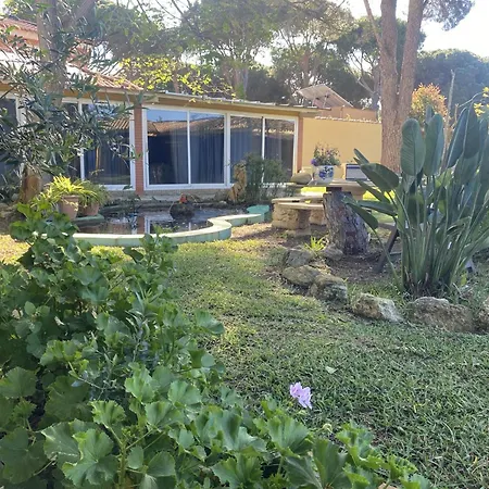 בית אירוח Jacaranda קדיז