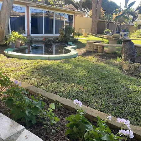 בית אירוח Jacaranda