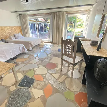 Jacaranda * 加的斯