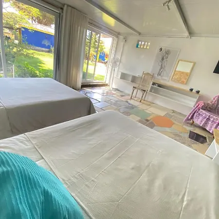 Jacaranda * 加的斯