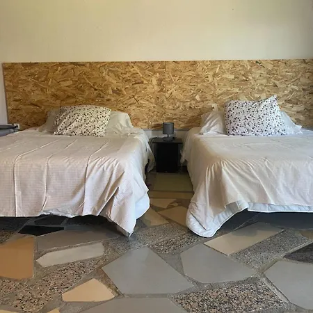 Jacaranda * קדיז