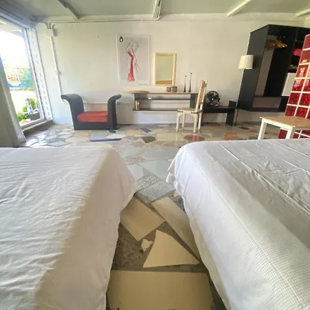 Jacaranda * 加的斯