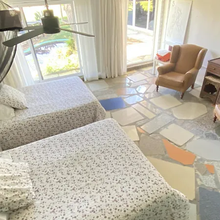 Jacaranda * קדיז