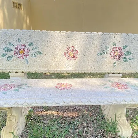 Jacaranda 民宿 加的斯