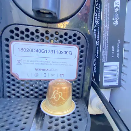 Jacaranda * קדיז