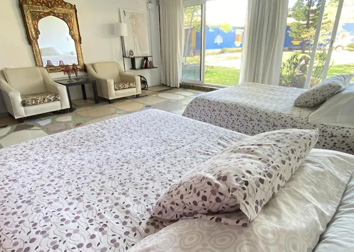 Jacaranda Privatunterkunft Cádiz