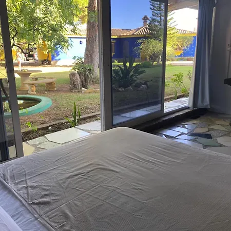 Jacaranda Séjour chez l'habitant