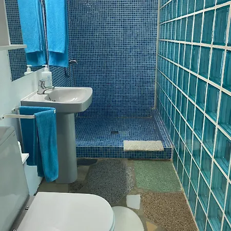 Jacaranda * كاديز