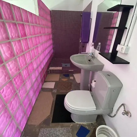 Jacaranda * كاديز