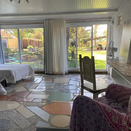 Jacaranda * كاديز